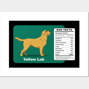 Yellow Lab Dog Posters and Art